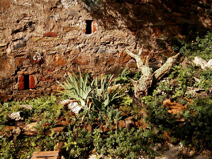 Il Laghetto del Centro di Entomologia - Piombino (LI)